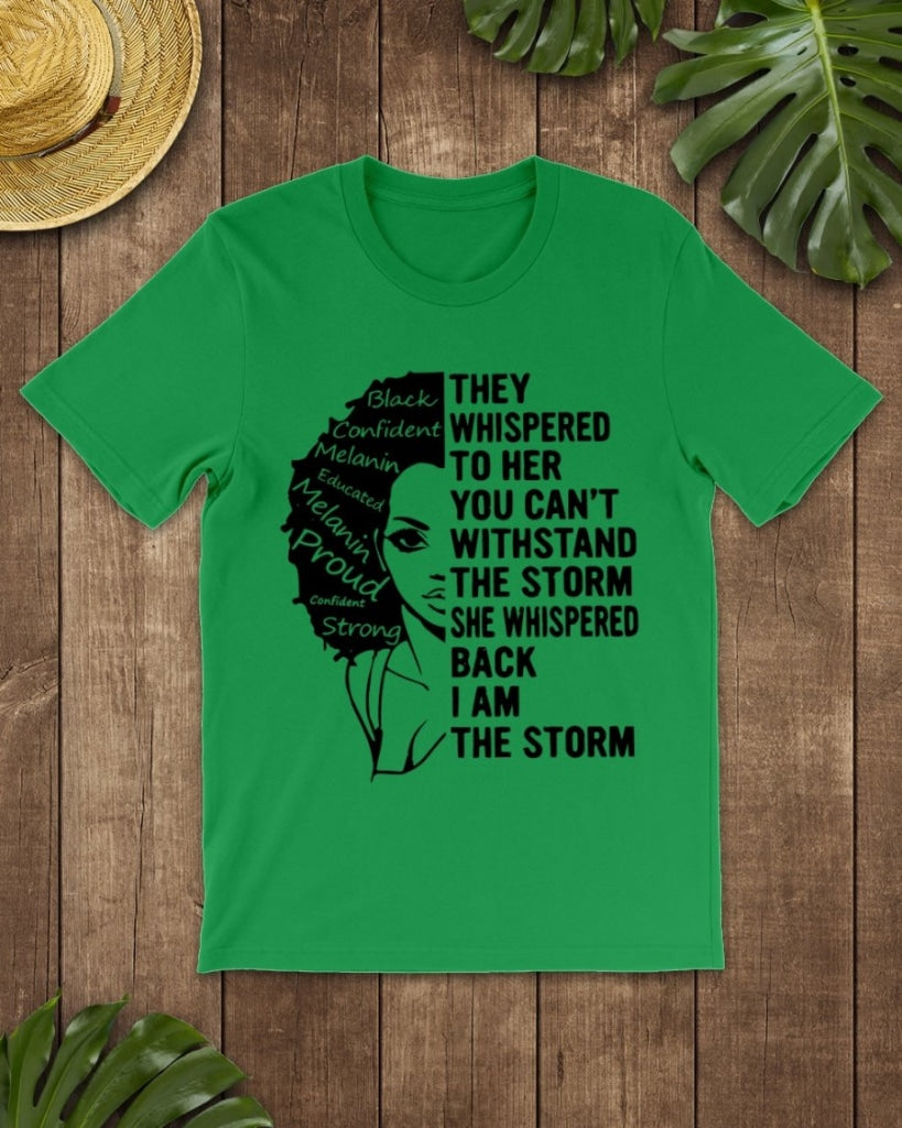 I Am The Storm Classic T-Shirt Irish Green / Xs T
